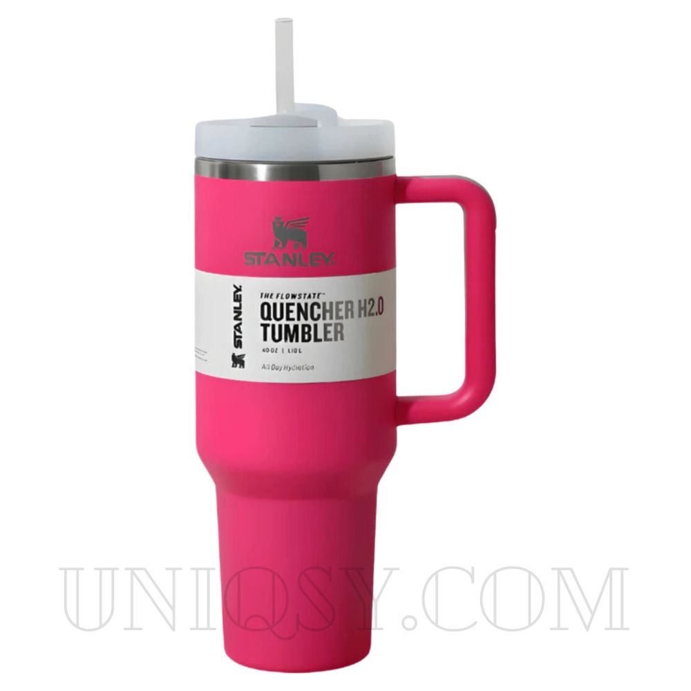 Stanley 40 OZ Tumbler Cup with Handle and Straw