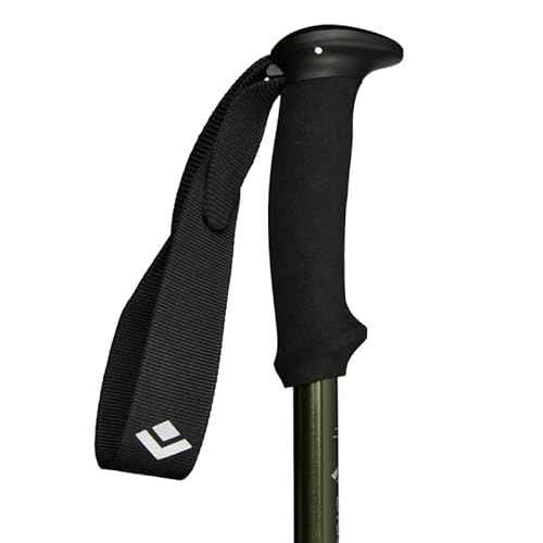 Black Diamond Trail Explorer 3 Trekking Poles